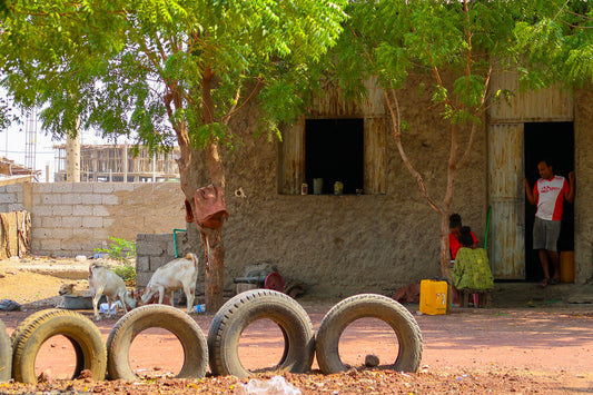 イベント告知  つながる市