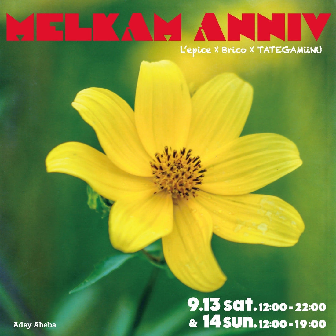 【イベント告知】