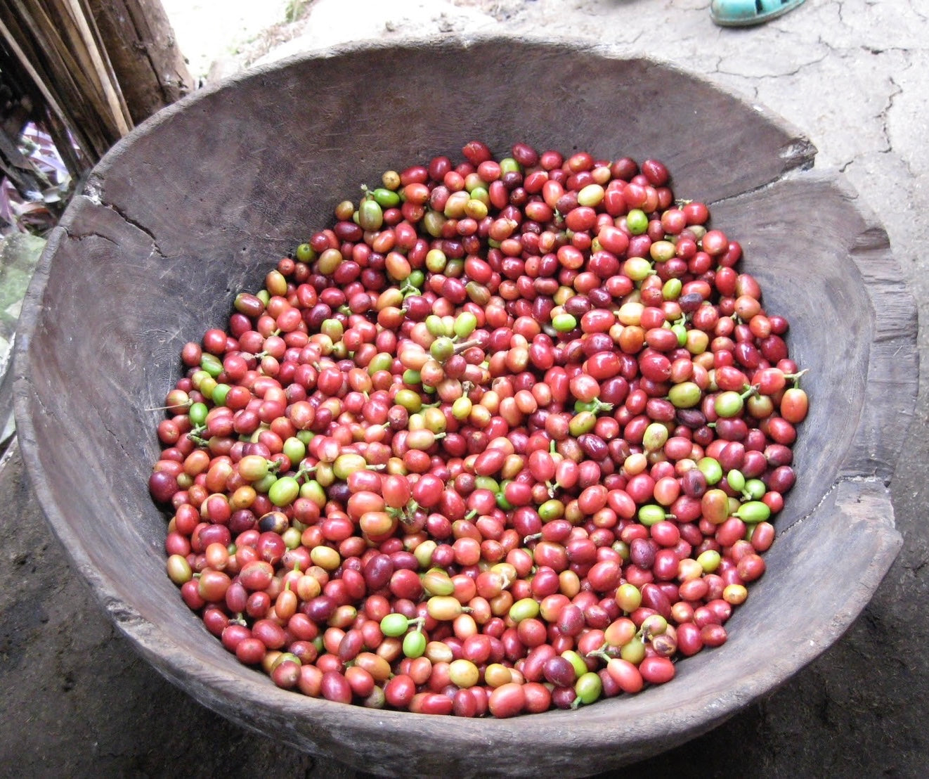 Ethiopia ボウル / Bowl 36