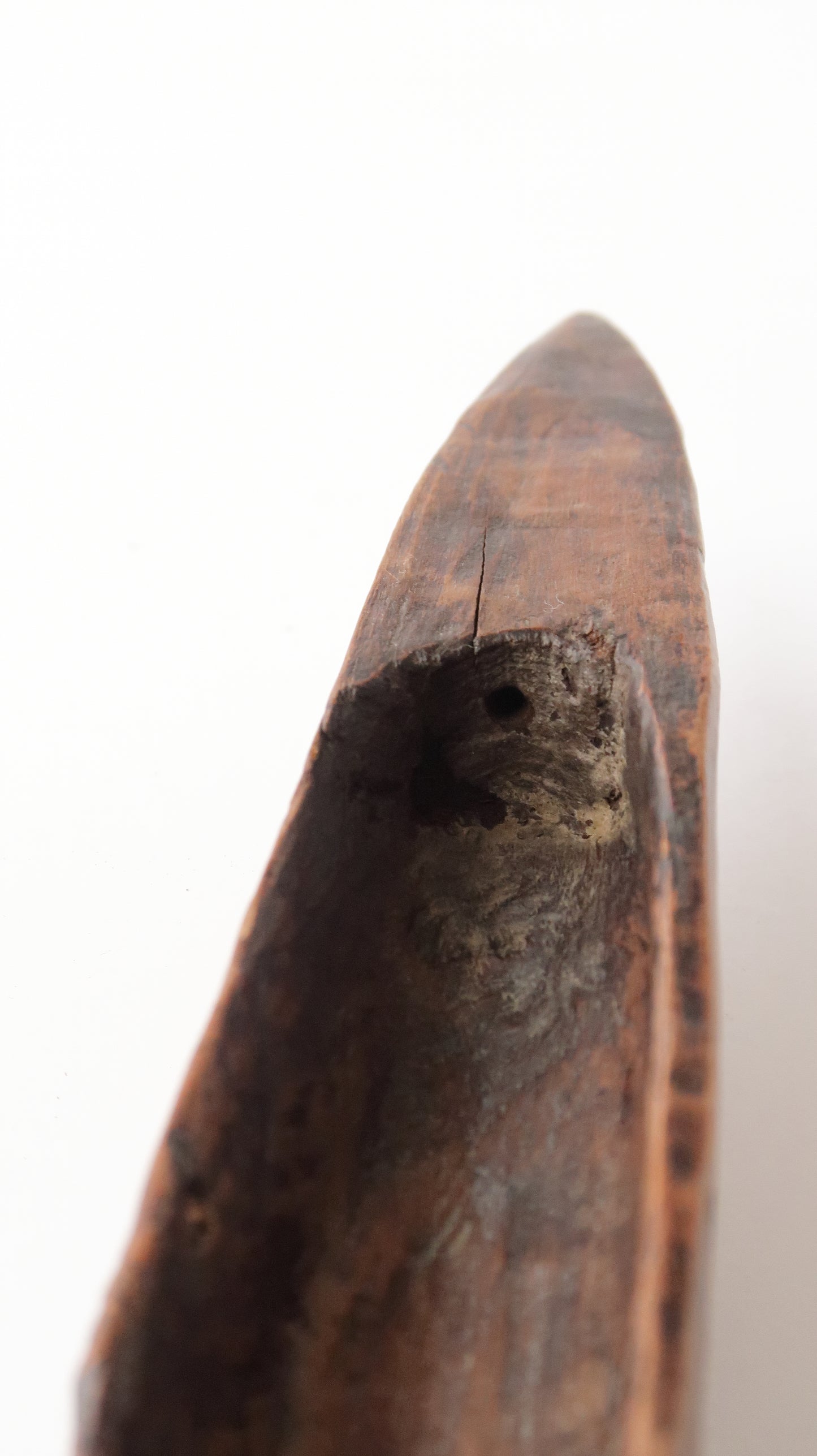 Ethiopia シャトル / Shuttle G