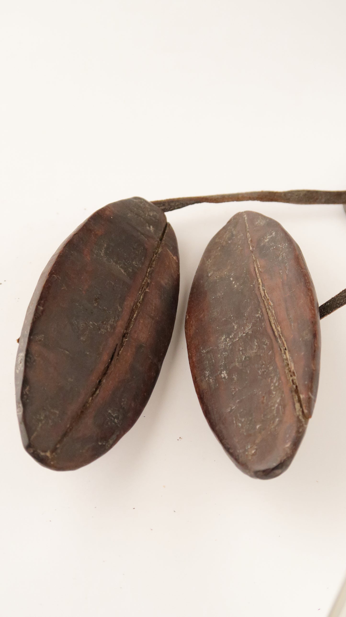 Ethiopia 楽器 / Musical Instrument 55